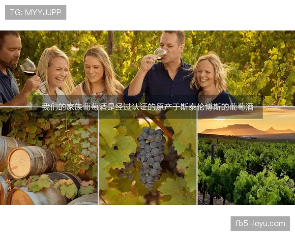 拉皮诺退役后还在靠代言养那座酒庄？